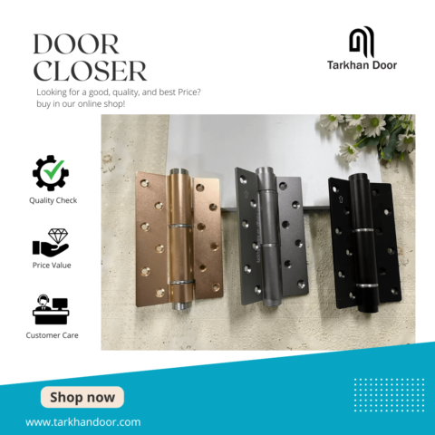 Door Closer Hinge Type