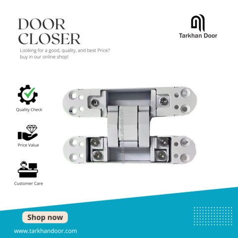 Door Closer Hinge Type